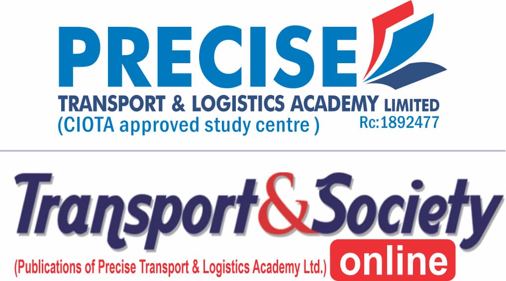 Precise Academy Logo